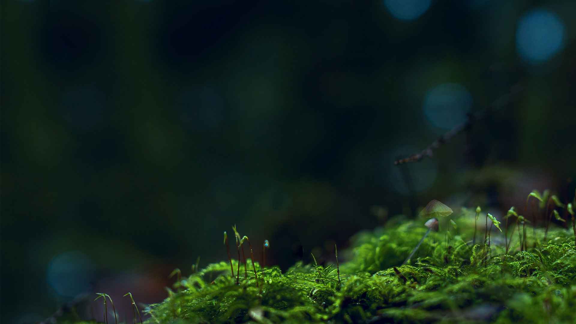 parallax background